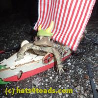 /home//u458753944/public_html/sourcegallery//Roxborough Toad Detour/2013-2019/2018/2018-02-21/P2210055.JPG